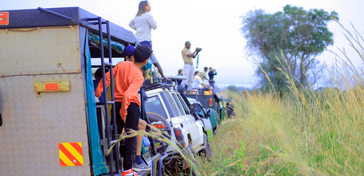 Game drives in Uganda